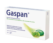 Gaspan capsule molli gastroresistenti  olio essenziale di menta piperita e olio essenziale di cumino