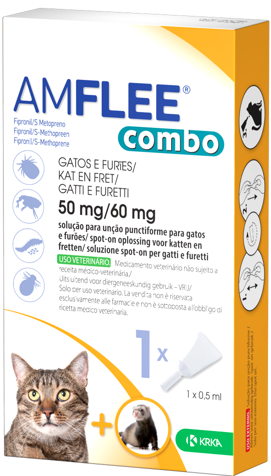 Amflee combo*1pip gatti/furett