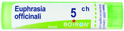 Euphrasia off 5ch gr