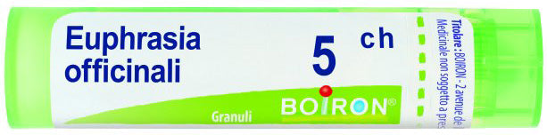 Euphrasia off 5ch gr
