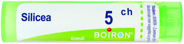 Silicea 5ch gr