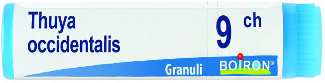 Thuya occ 9ch gl