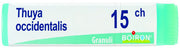 Thuya occ 15ch gl