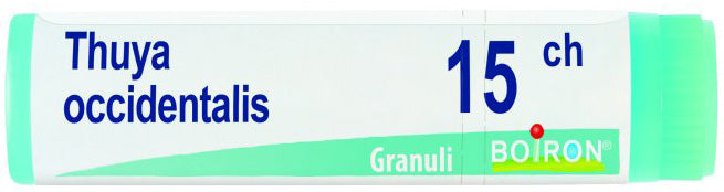 Thuya occ 15ch gl