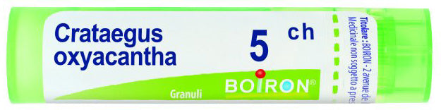 Crataegus oxyacantha 5ch gr