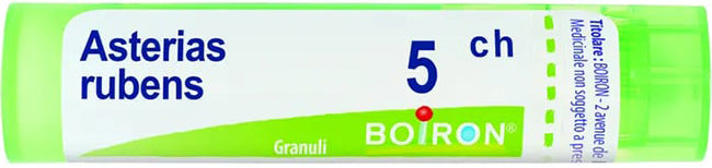 Asterias rubens 5ch gr