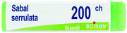 Sabal serrulata 200ch gl