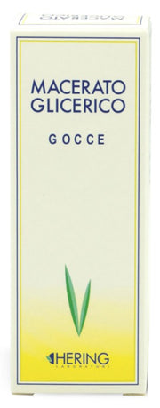 Tilia tomentosa gemme macerato glicerico 60 ml