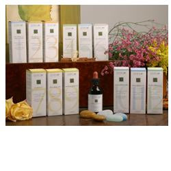 Zef12 belson plant stv