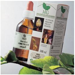 Sequoia macerato glicerico 100 ml