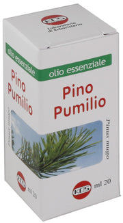 Pino pumilio olio essenziale 20 ml