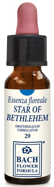 Star of bethlehem 10 ml gocce