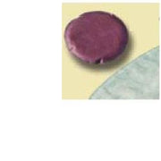 Mini sacca per urostomia alterna mio uro con multichamber uro minicap misura foro 50mm capacita' 100ml 30 pezzi articolo 28080