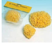 Spugna naturale mare 2 media