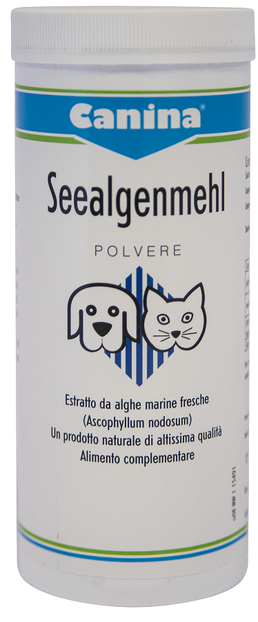 Seealgen polvere 250g