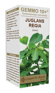 Gemmo 10+ noce 100 ml liquido analcolico