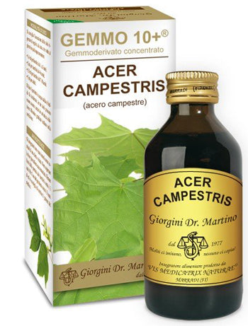 Gemmo 10+ acero campestre 100 ml liquido analcolico
