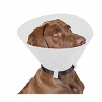 Collare elisabettiano classico/opaco 12,50 s