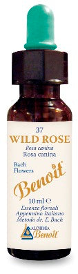 Fiori di bach benoit wild rose 10 ml