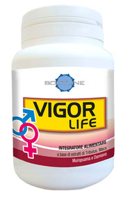 Vigor life 40 capsule