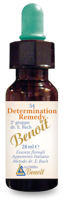 Determination remedy 28 ml