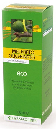 Macerato glicerico fico gemme ficus carica 100 ml