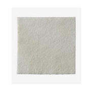 Medicazione biatain alginate in alginato e carbossimetilcellulosa 15x15 cm 10 pezzi