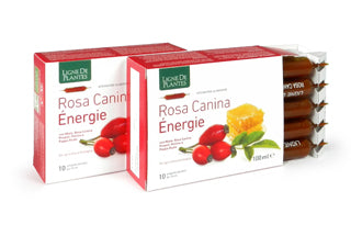 Rosa canina energie biologico 10 ampolle bevibili da 10 ml