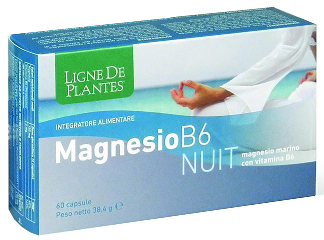 Magnesio b6 nuit 60 capsule
