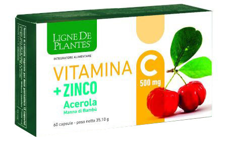 Ligne de plantes vitamina c 500 mg + zinco acerola e manna di bambu' 60 capsule