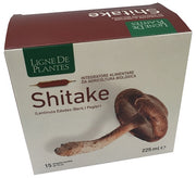Ligne de plantes shitake bio 15 ampolle da 15 ml