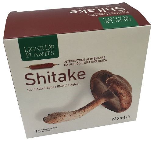 Ligne de plantes shitake bio 15 ampolle da 15 ml