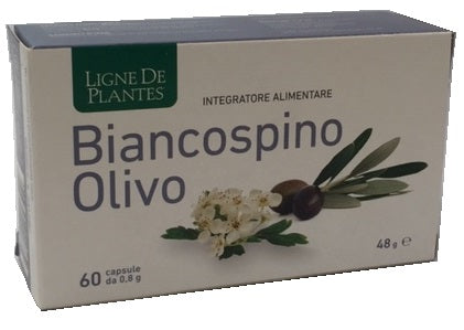 Ligne de plantes biancospino olivo 60 capsule