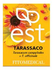 Tarassaco estratto secco 60 tavolette