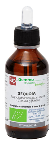 Sequoia macerato glicerico 100 ml bio