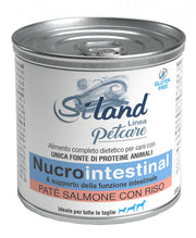 Siland nucrointestinal umido cane salmone/riso 300 g