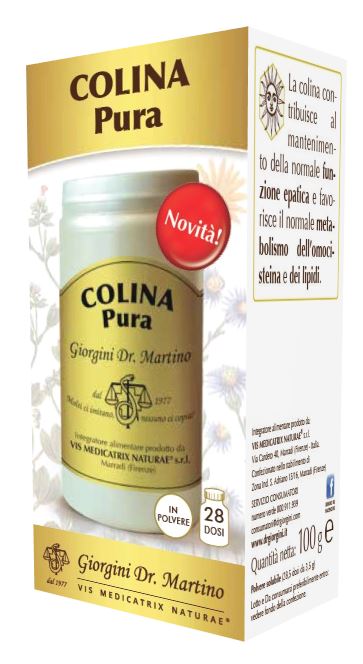 Colina pura polvere solubile 100 g