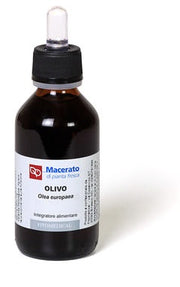 Olivo tintura madre bio 100 ml