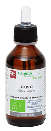 Olivo macerato glicerinato bio 100 ml