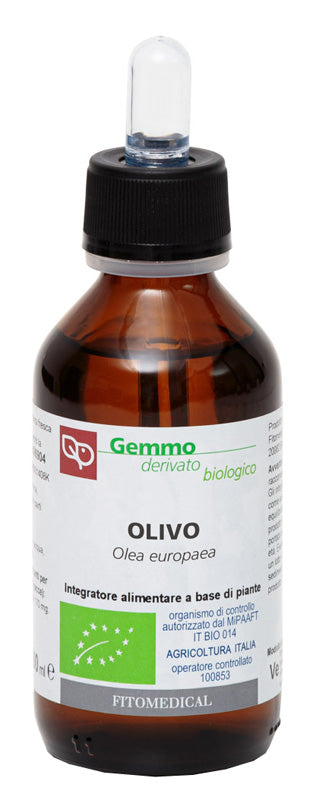 Olivo macerato glicerinato bio 100 ml