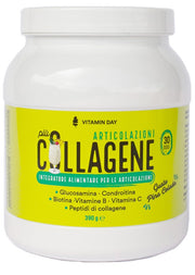 Vitamin day collagene articolazioni 390 g