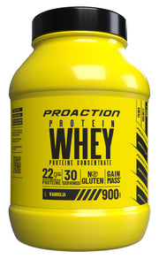Proaction fit whey protein vaniglia 900 g