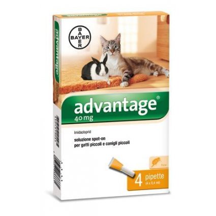 ADVANTAGE*4PIP 0,8ML SPOT-ON