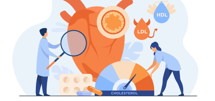Colesterolo: Buono vs Cattivo