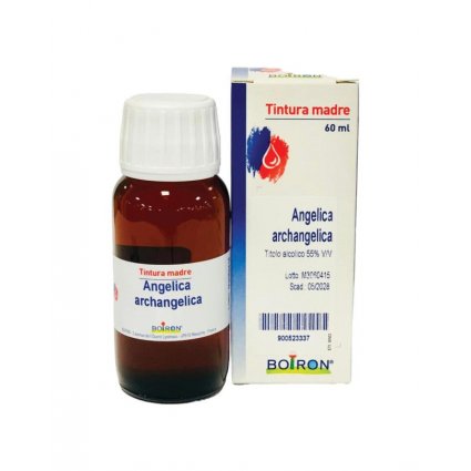 ANGELICA ARCANGELICA 60ML TM