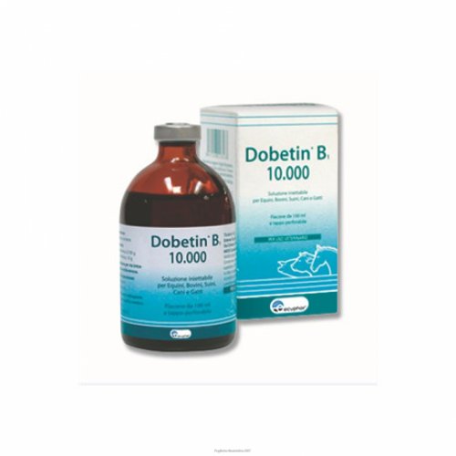 DOBETIN-B1 10000 Fl.100ml Vet.