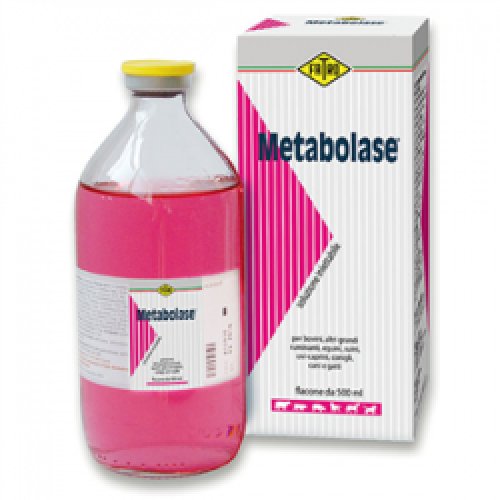 METABOLASE Iniett.500ml