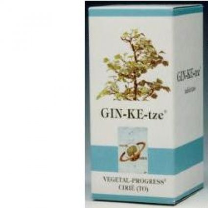 GINKETZE 80TAV 600MG