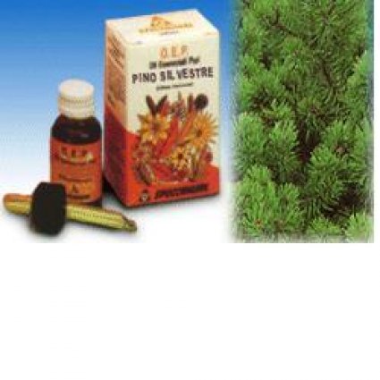 PINO SILV OLIO ESS PURO 10ML S