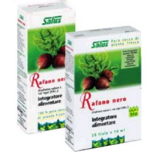 RAFANO NE SUCCO S/ALC 200ML